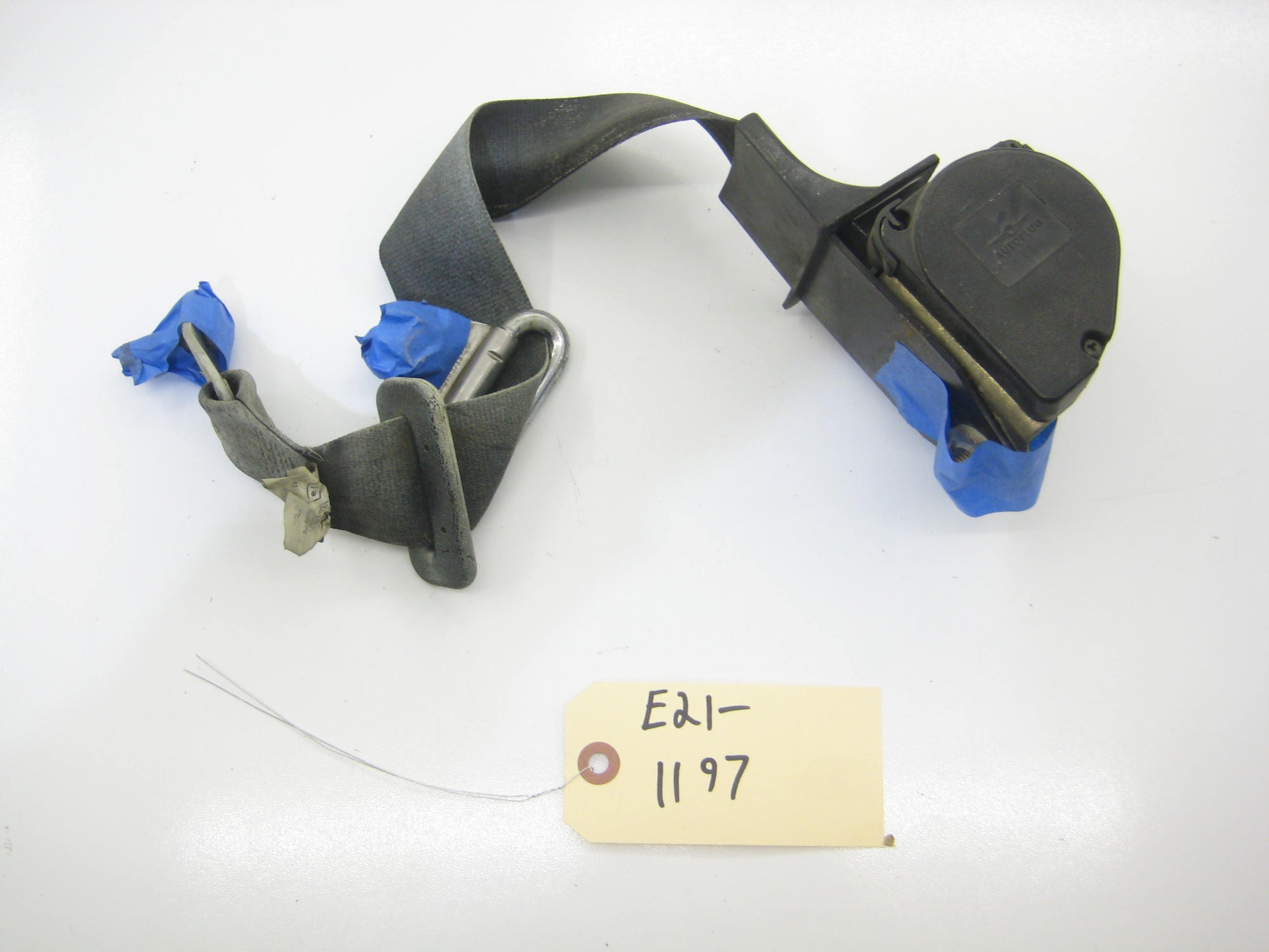 Rear Seat Belt