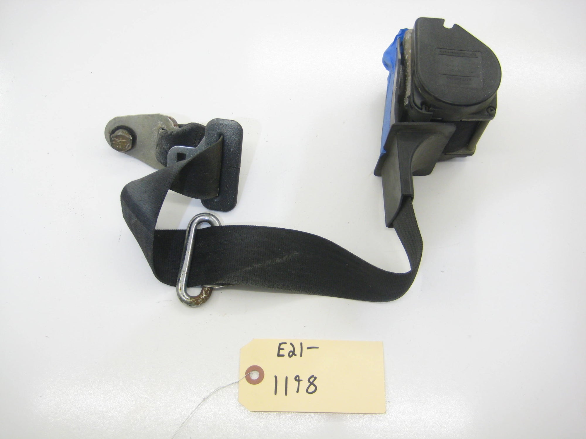 Rear Seat Belt