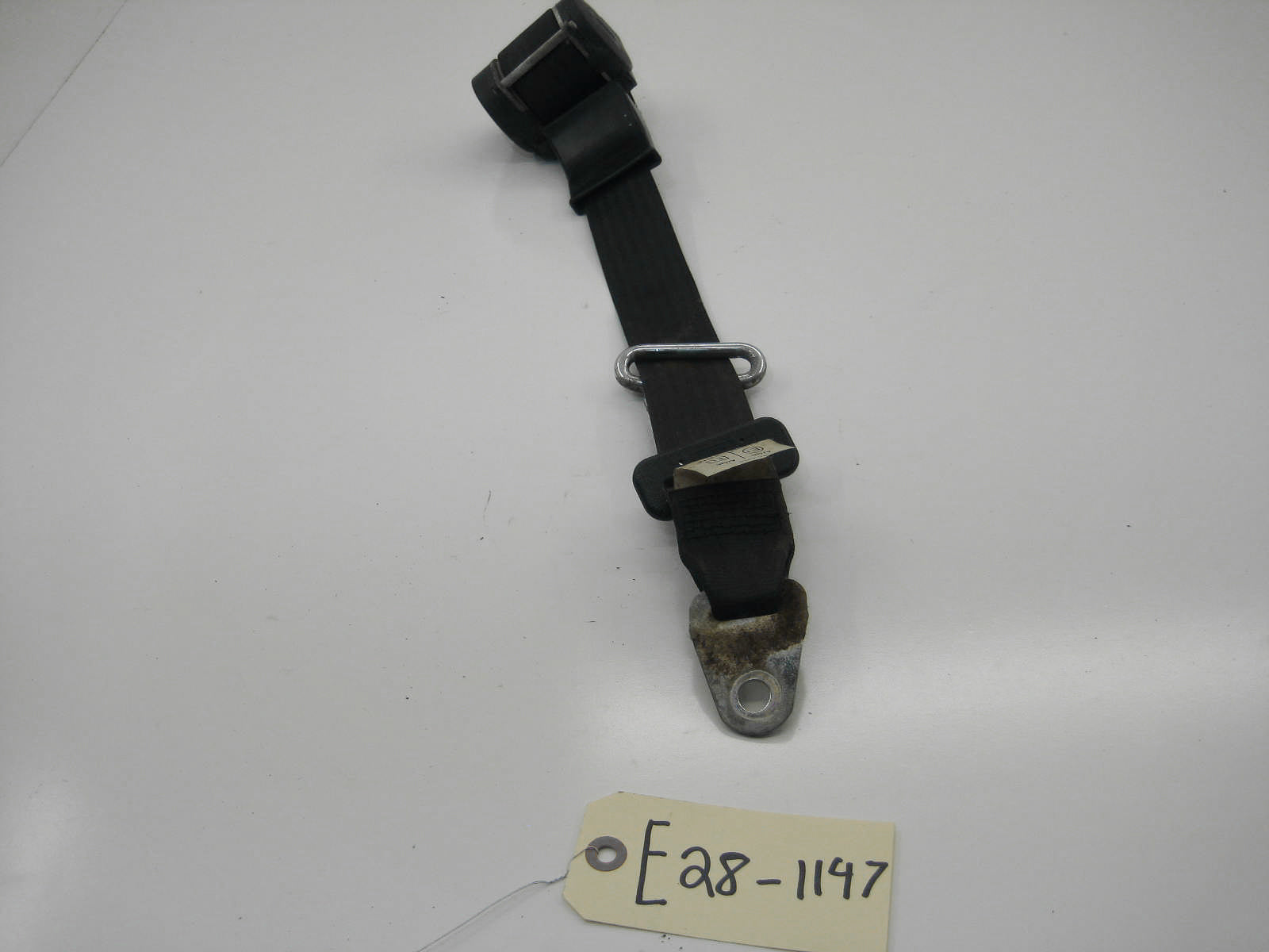Rear Seat Belt