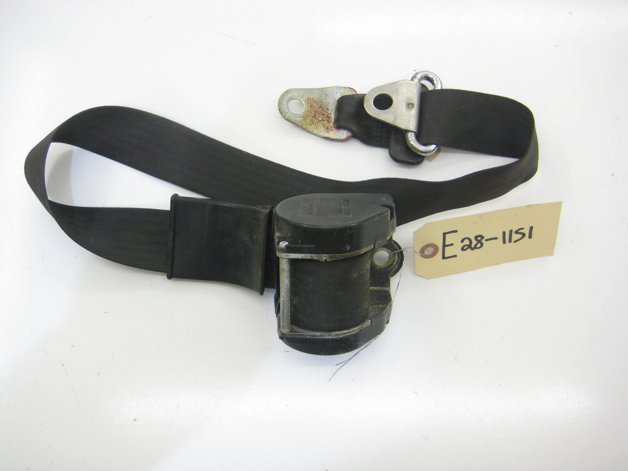 Rear Seat Belt