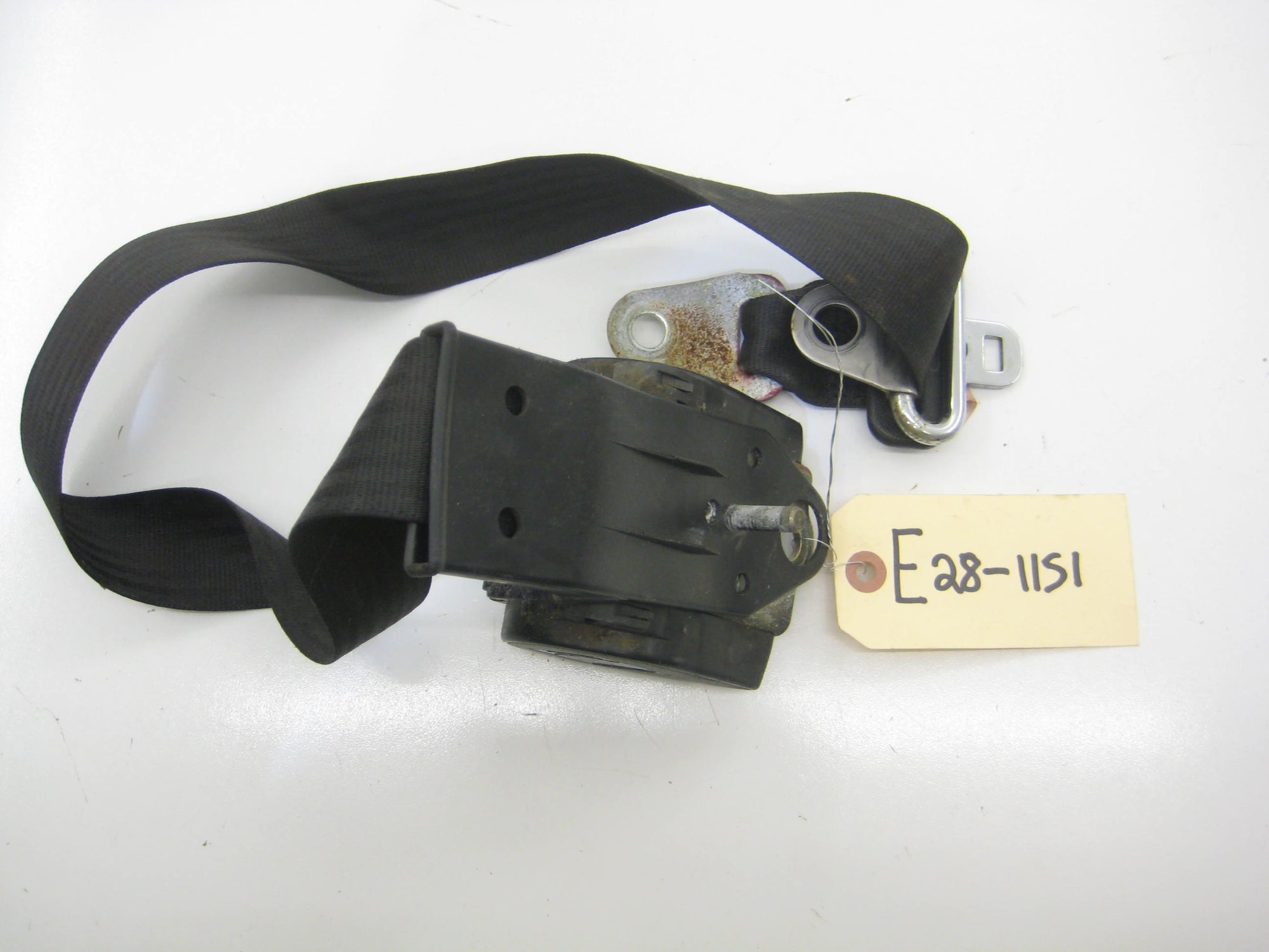 Rear Seat Belt
