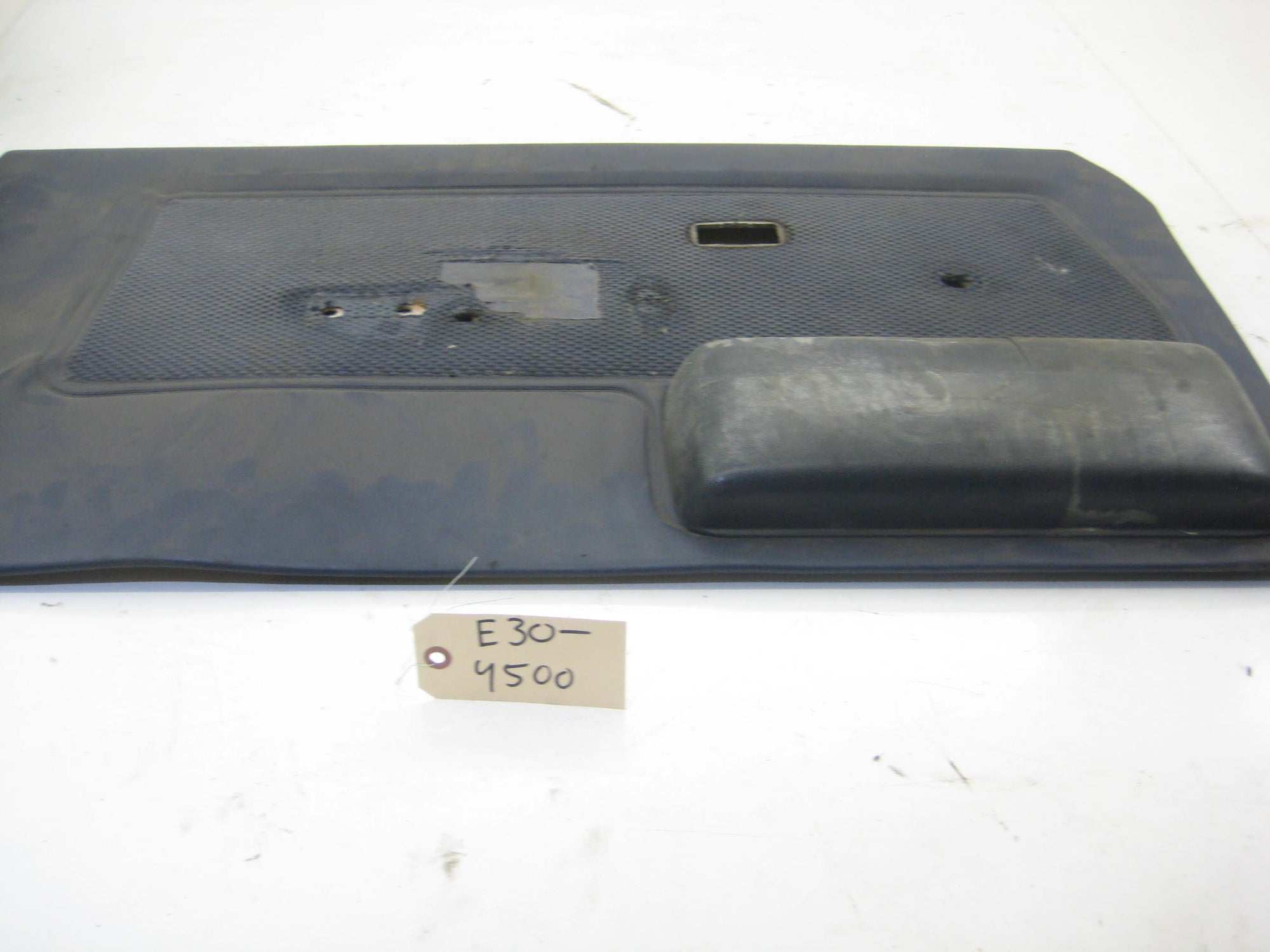 Left Drivers Door Panel - Blue