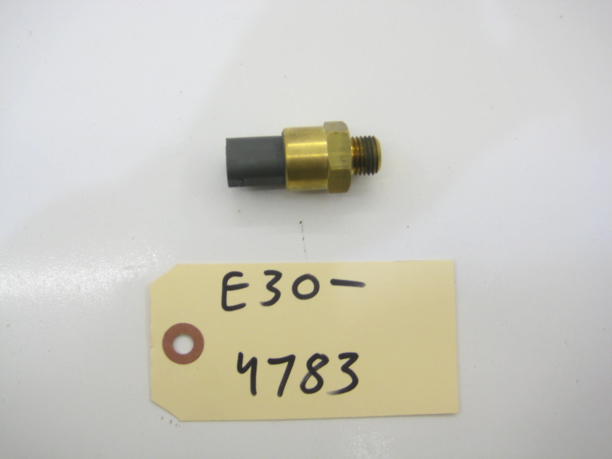 61318376440 Radiator Switch