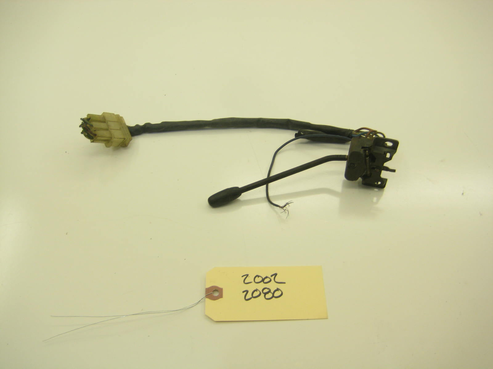 Early Blinker Stalk