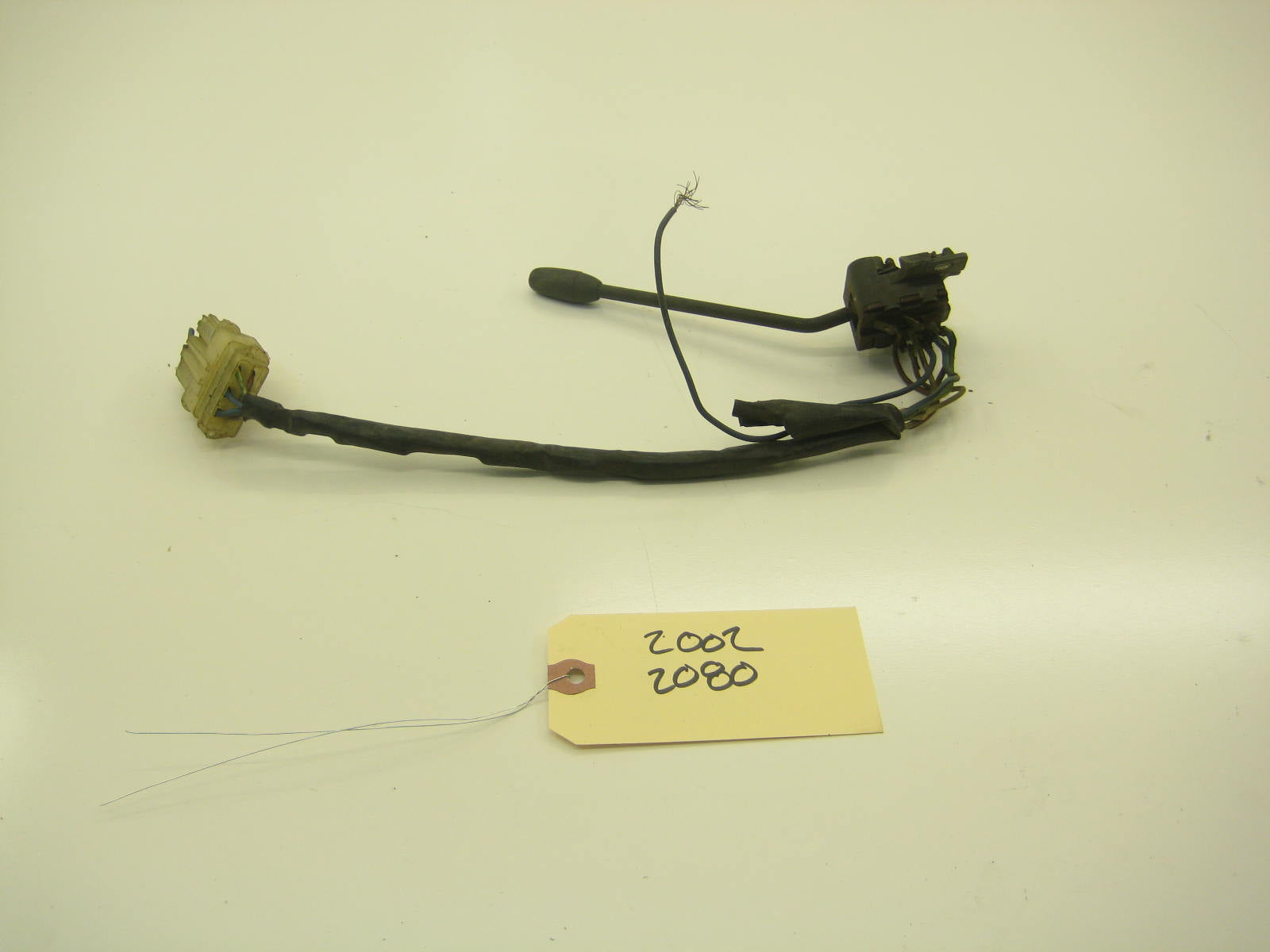 Early Blinker Stalk