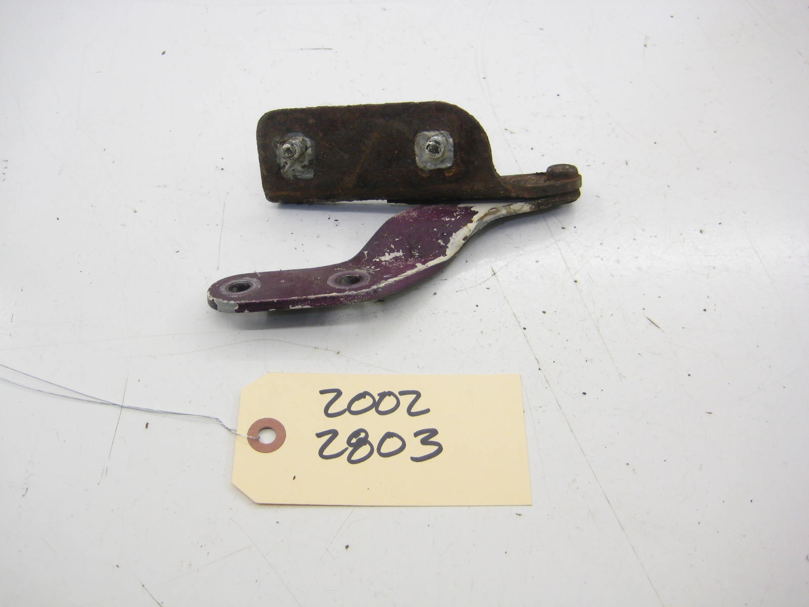Trunk Hinge