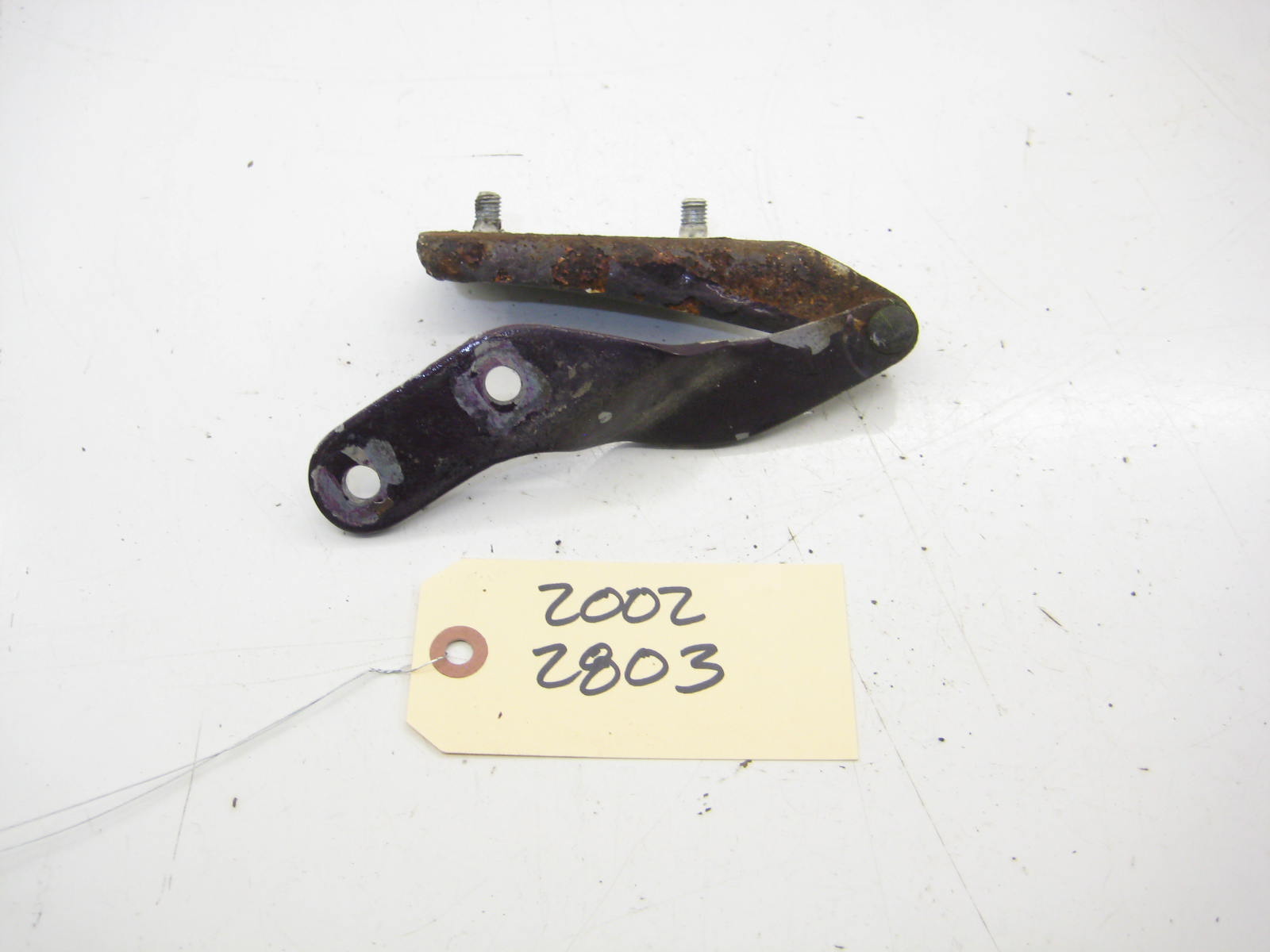 Trunk Hinge