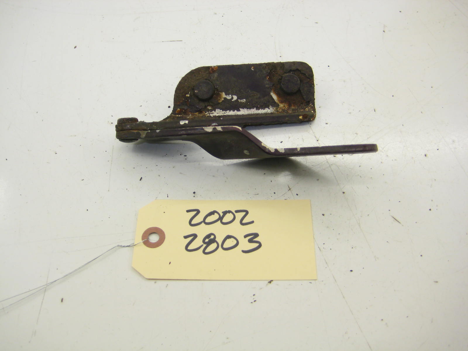 Trunk Hinge