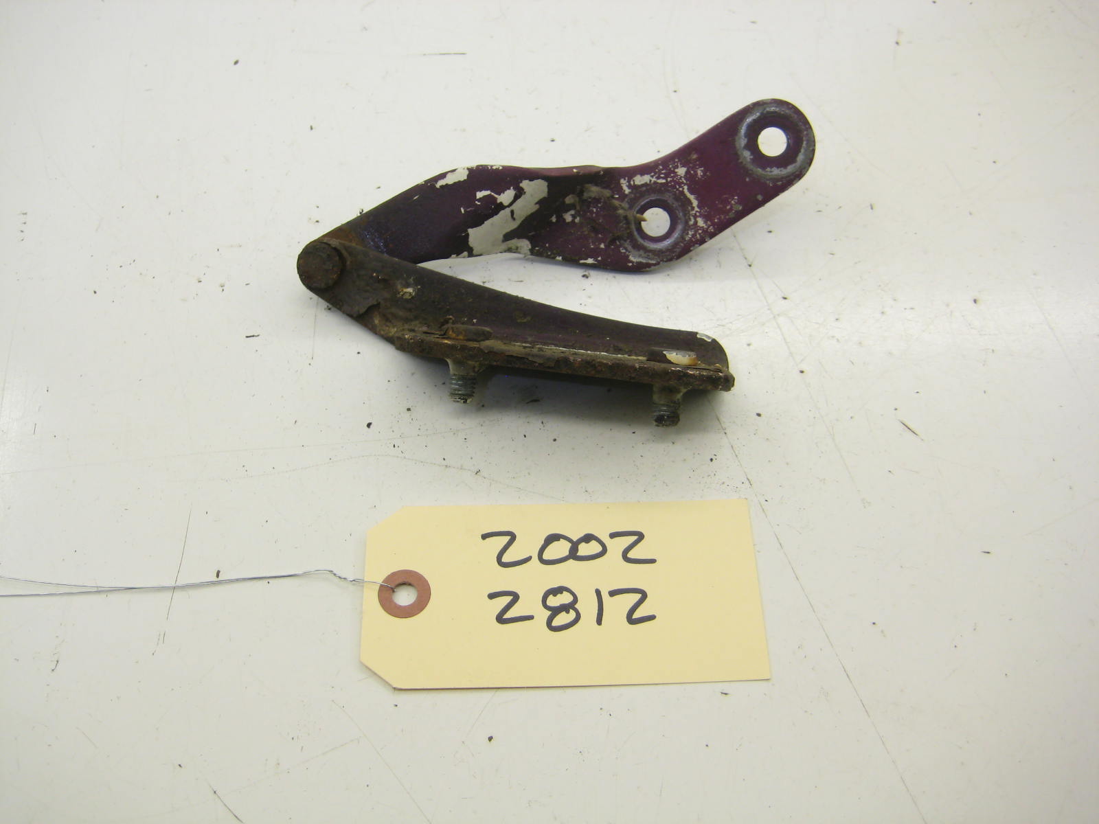 Left Drivers Trunk Hinge