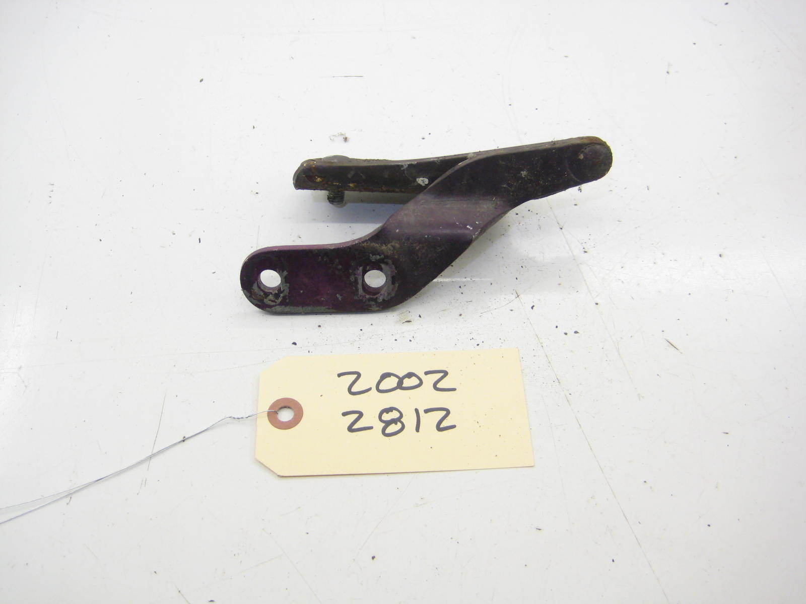 Left Drivers Trunk Hinge