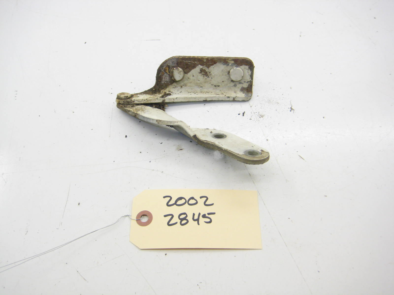 Left Driver Trunk Hinge