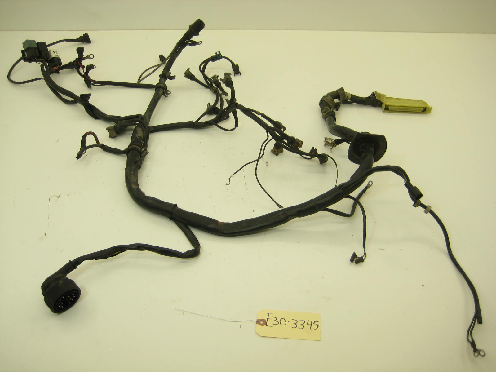 Early Motronic 1.0 Engine Harness