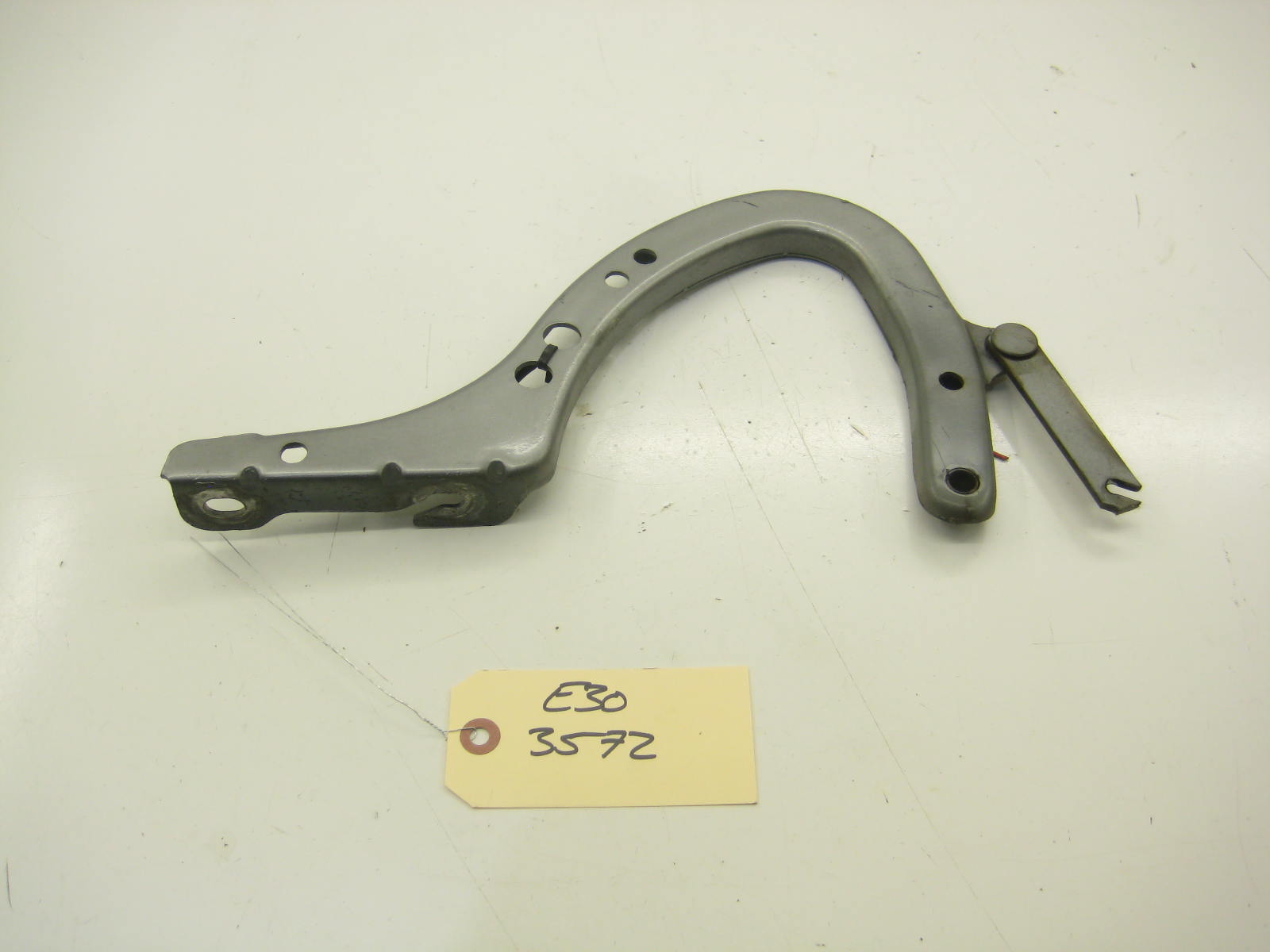 Left Trunk Hinge