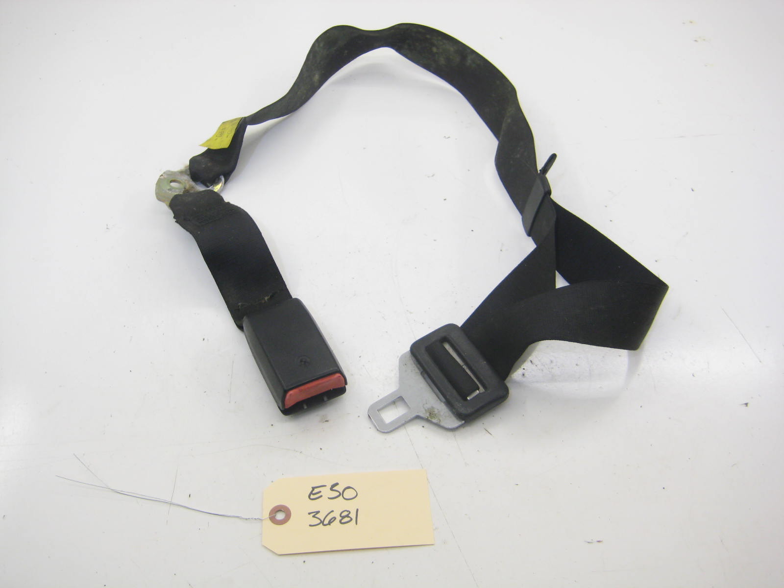 Center Rear Seat Belt