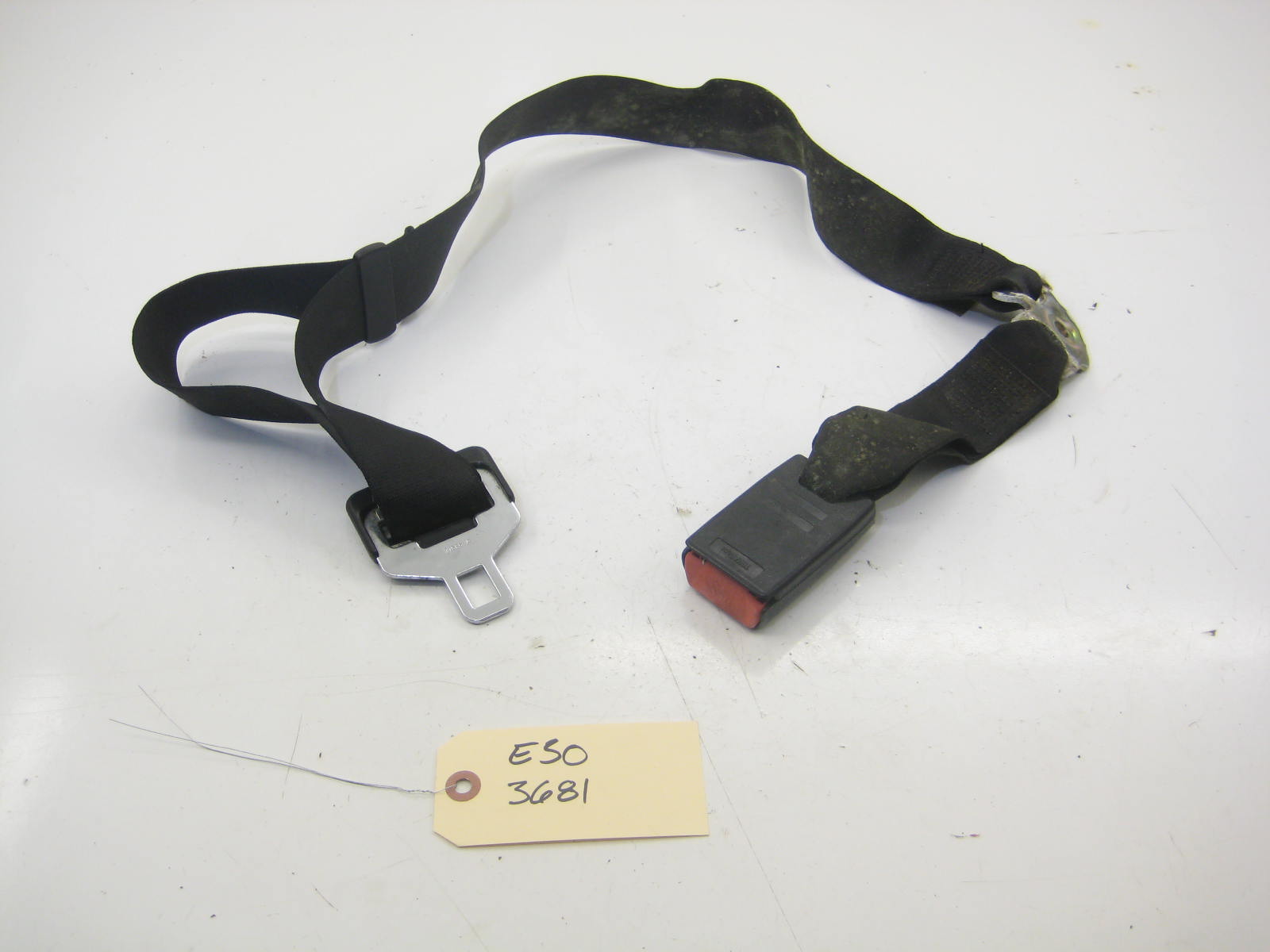 Center Rear Seat Belt